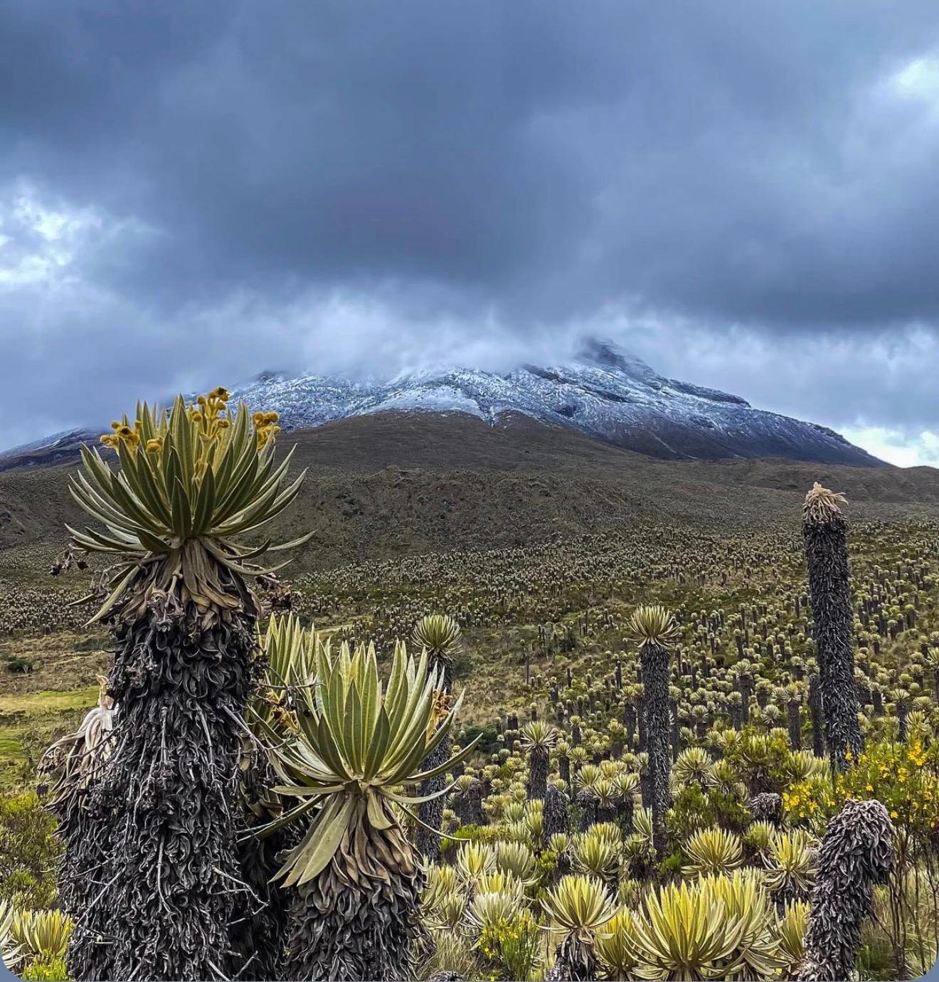 Nevado del Ruiz